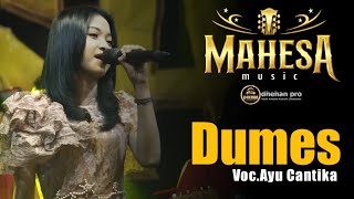 DUMES  AYU  CANTIKA MAHESA MUSIC DHEHAN AUDIO