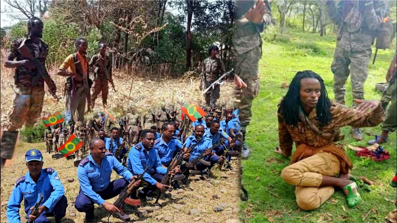 Dubii Jajjabduu Yerro Amma Dema Jirrtu March 2, 2026