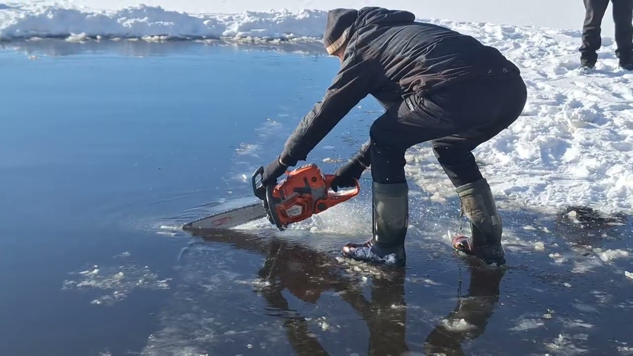 Опытный специалист по распиловке деревьев бензопилой STIHL тестирует Husqvarna 560xpg в сложных у...