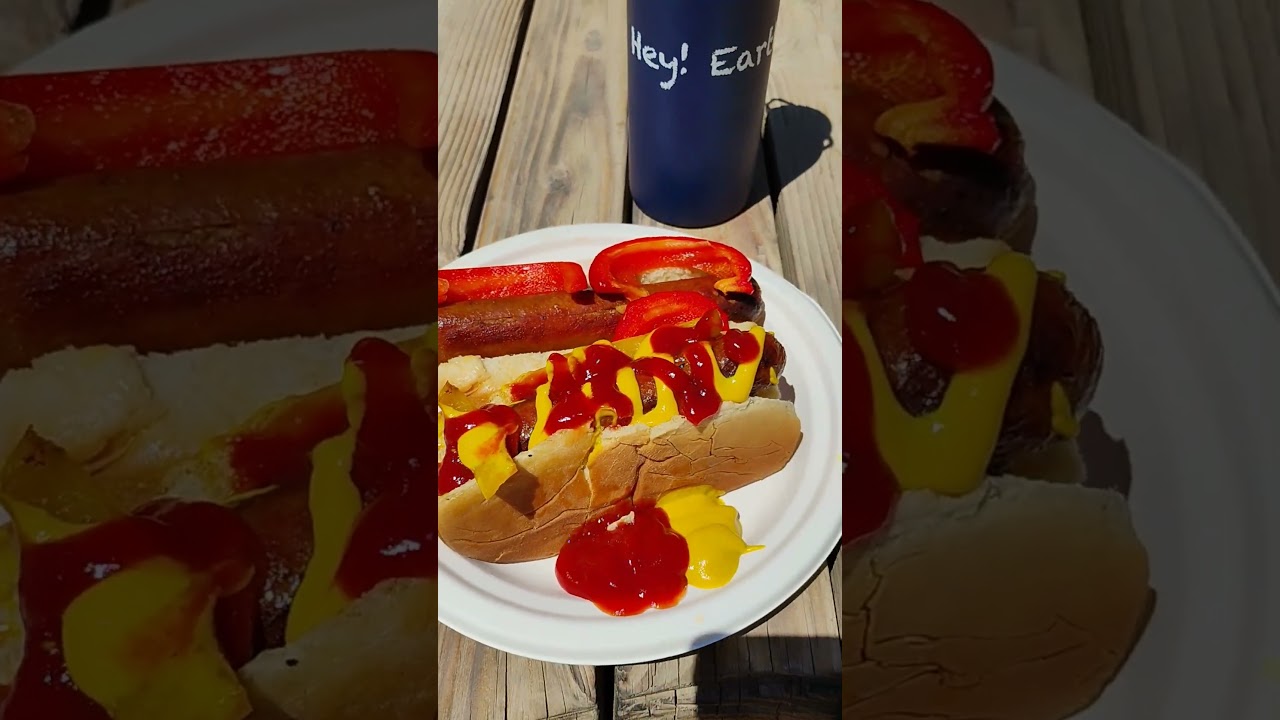 1st Music festival food 🌭🌭 