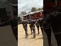 Mlimba Skauti Gwalide Foot Drill Maonesho Maafali Mlimba Day Secondary School 
