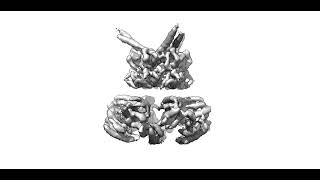 Correlated Ccs Motions In Mpa