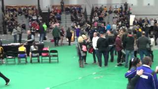 2016 Indoor Conference Men's 400m Paske