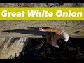 Skaha Bluffs - Great White Onion 5.13b