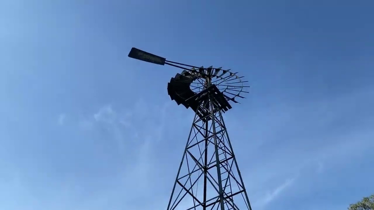 Twin Peaks town - Old Petrie Town Walk