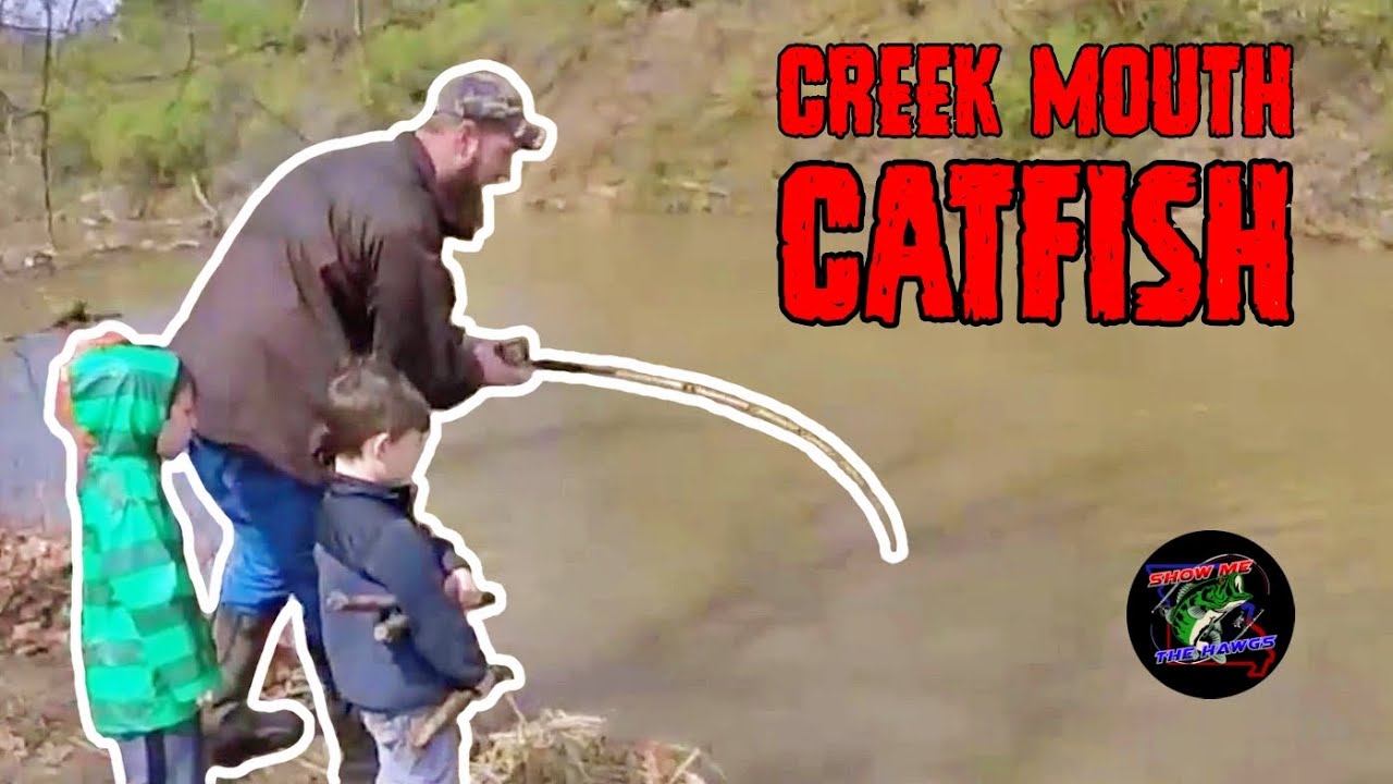 Catfishing in a Creek at Simpson Park, St. Louis, MO YouTube