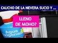 ✅ EL CAUCHO DE LA NEVERA ESTÁ LLENO DE MOHO? | EL AGUA OXIGENADA LO BLANQUEA!