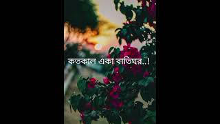 Batighor Official Music Video Shironamhin