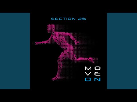Section 25 — Form Is Void