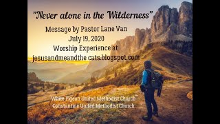 NEVER ALONE IN THE WILDERNESS