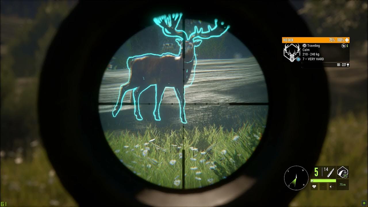 theHunter Call of the Wild Harvesting a Gold Red Deer YouTube