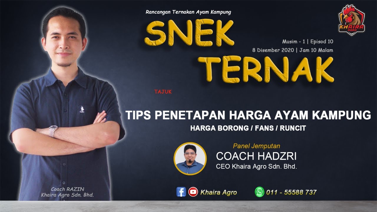 SNEK TERNAK EP10| TIPS PENETAPAN HARGA AYAM KAMPUNG