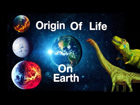 Origin of Life on Earth (Hindi) | Evolution | Info ReX