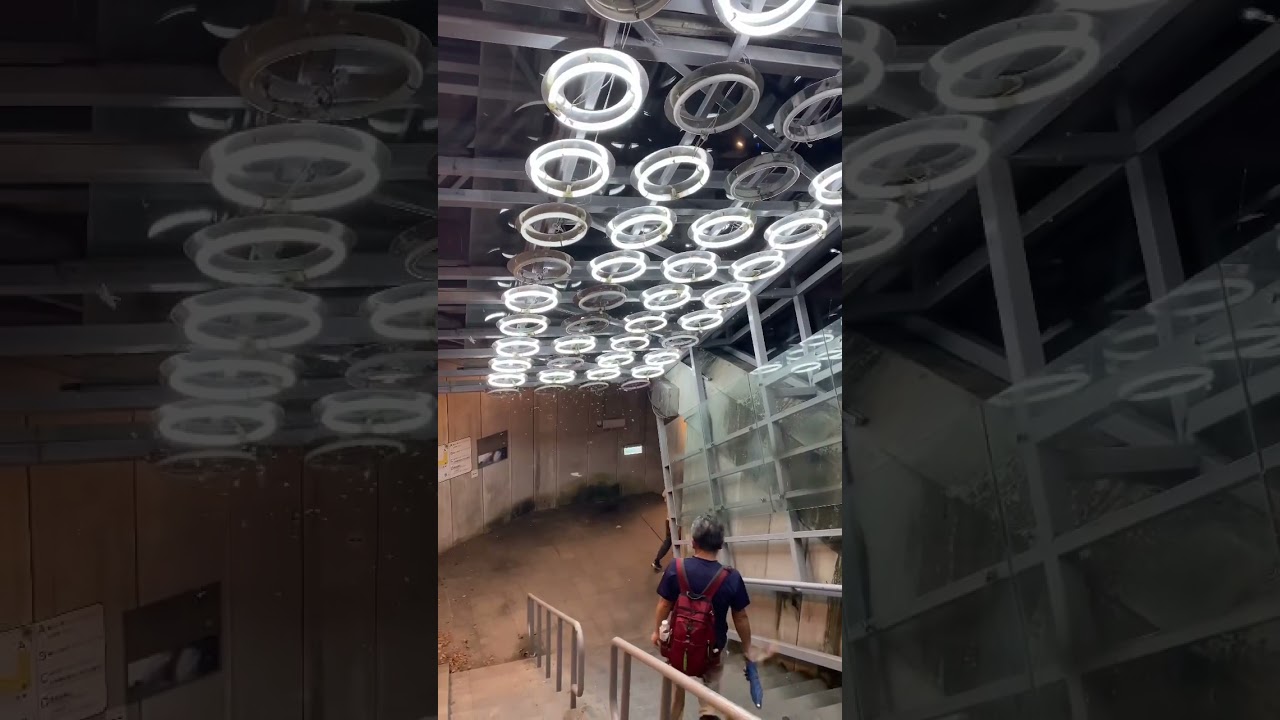 Watch 蟲蟲之路 crossing the flies #wonder #ninja #ninjago #japantravel #light #night #funny on YouTube Watch 蟲蟲之路 crossing the flies #wonder #ninja #ninjago #japantravel #light #night #funny on YouTube