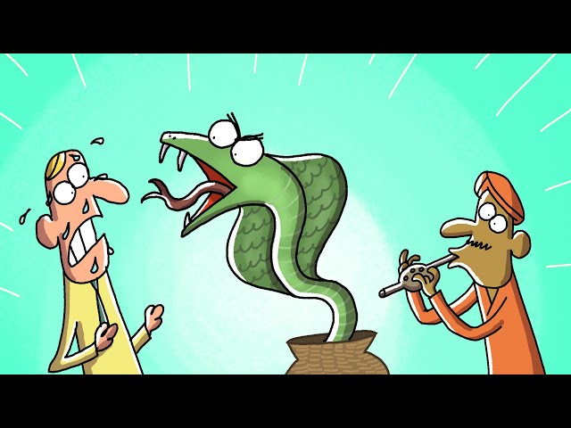 Disappointed Snake Animation Animated Short Snake