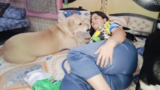 Today I Had A Lot Of Fun, Wow, What A Thing, I Got The Same Jar That I Had Asked For.