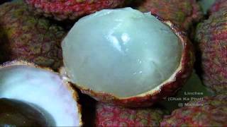 Linchee - ลนจ จกรพรรด