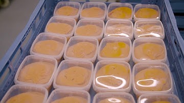 intrion - Automatic order picking of meat products