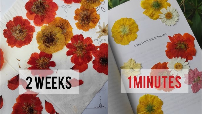 Pressed Flower Bookmark  How to Make Dried Flower Bookmarks 