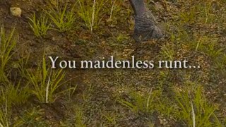 You maidenless runt...
