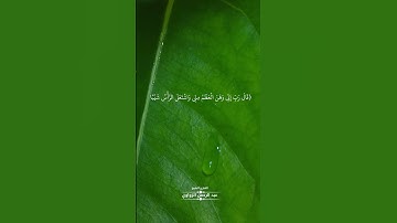 تلاوة خاشعة - الشيخ عبد الرحمن الزواوي -حالة واتس اب