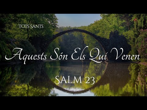 Vídeo: Salm bíblic. Què són els salms?