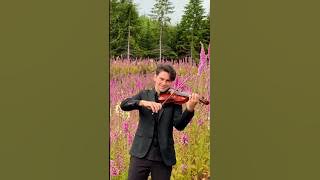 FELICITÀ – Violin Cover in a Magical Wildflower Field | Cinematic Violin in Seattle Nature