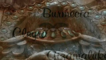 Final Fantasy IX Remotejoylite v0.19 Popsloader test