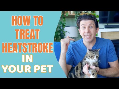 How to treat