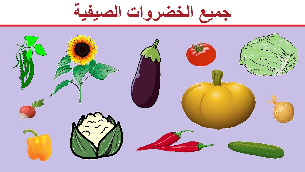 الخضروات الصيفية ومواعيد الزراعة والانبات | مواعيد زراعة الخضروات الصيفية