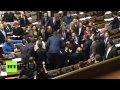 Ukraine: Watch Rada ERUPT in mass brawl