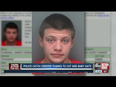 police-catch-creeper-thanks-to-cat-and-baby-gate