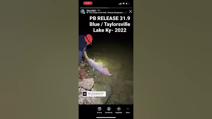 My PB release  31.9 lbs Blue Catfish / Taylorsvill...
