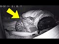 Cat Won’t Stop Staring At Dad All Night, Dad Checks Video On The Hidden Camera And Realizes Why