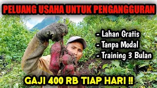 BUTUH UANG CEPAT ⁉️ COBA PELUANG INI SAJA ‼️ TERBUKTI HASILNYA NYATA