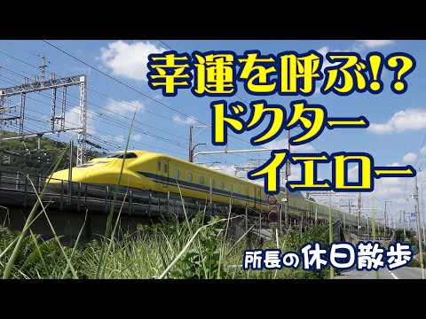 【休日散歩】幸運を呼ぶ！？　ドクターイエロー（大阪府島本町）