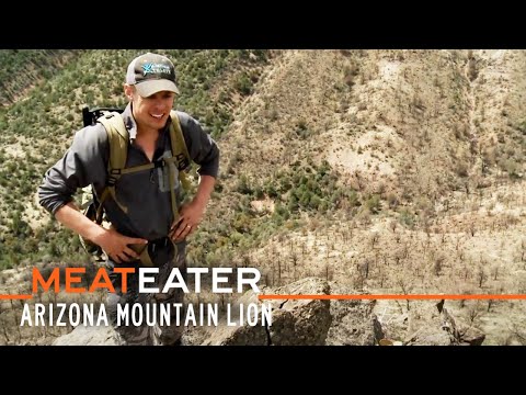 The Fair Chase: Arizona Mountain Lion | S2E02 | MeatEater