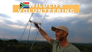 Becoming A Wildlife Volunteer | Wildlife ACT | Ep 1