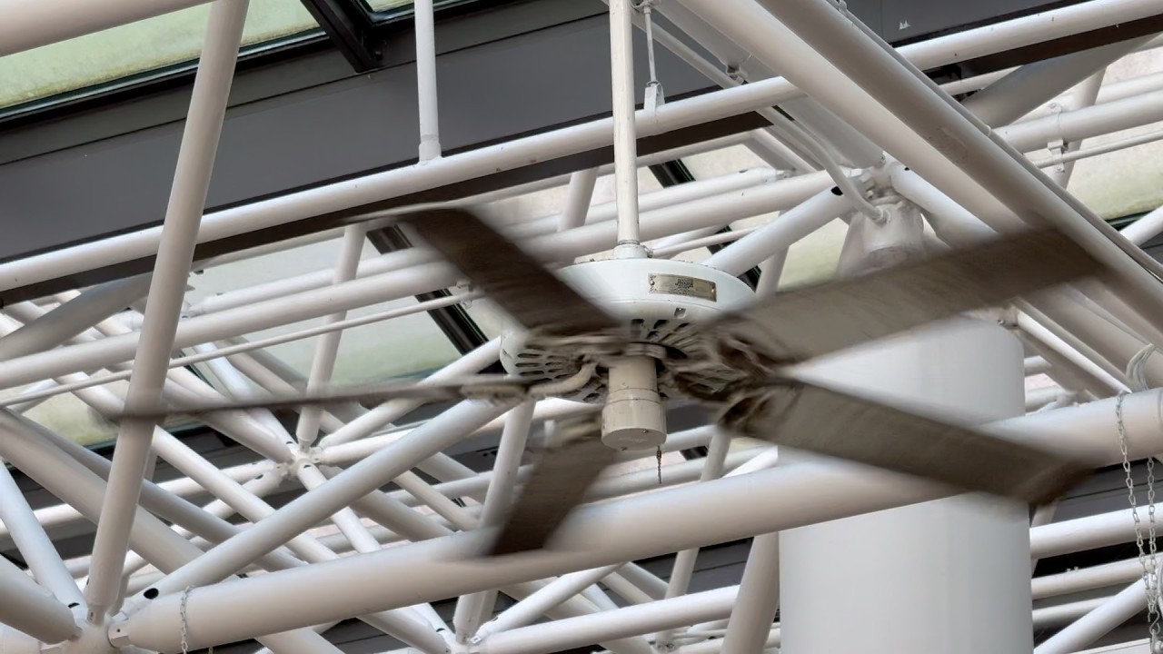 A Bunch of Hunter Original Ceiling Fans in a Hotel Atrium