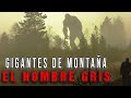 Gigantes de montaa  hombre gris de ben mcdhui  criptozoologa