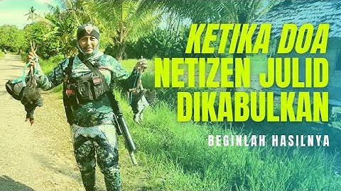 Berburu belibis dan mandar malah ketemu banyak pemburu di sawah