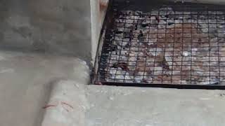 Reani Water Storeg New