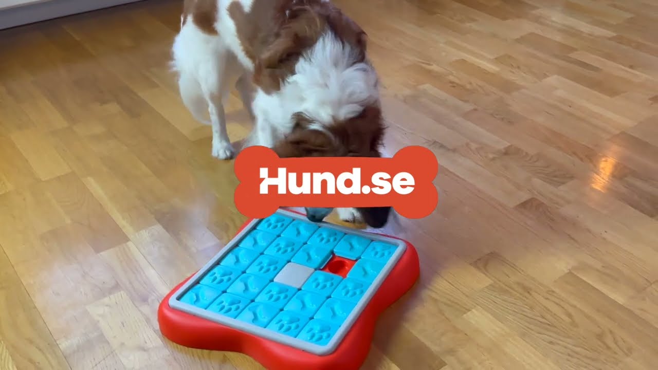 Outward Hound Challenge Slider Dog Puzzle Toy