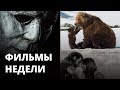 Хэллоуин, Медведи Камчатки, Звезда родилась - Что посмотреть