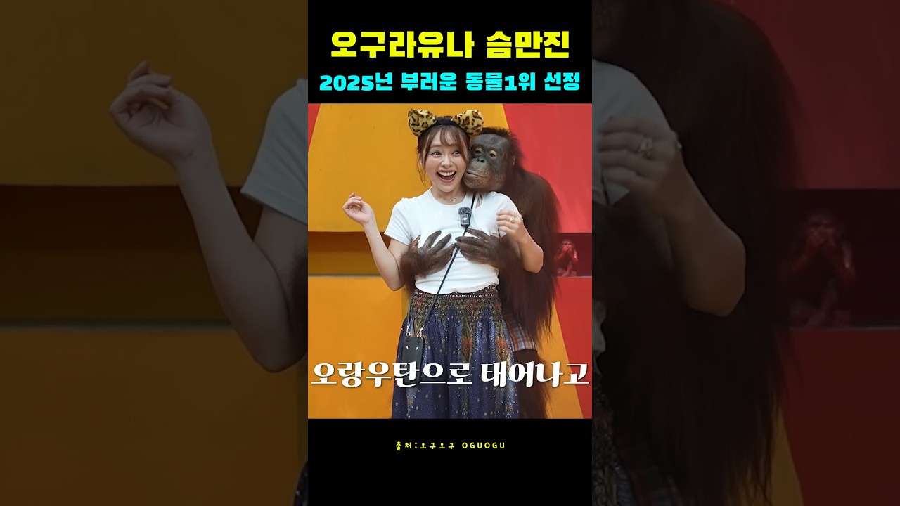 오구라유나 백허그하는 세상에서 가장 부러운동물 1위선정 오랑우탄 ㅋ #shorts