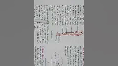 Animals forms and functions class 6 science chapter 10