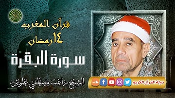 قرآن المغرب 14 رمضان 1445 - الشيخ راغب مصطفي غلوش - سورة البقرة