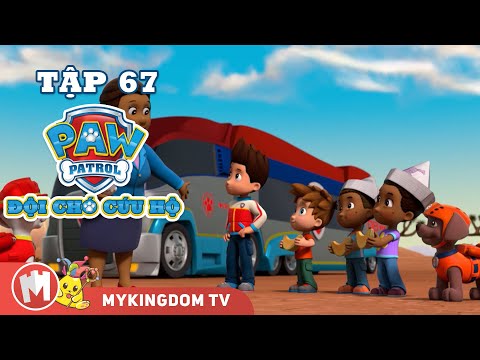 ĐỘI CHÓ CỨU HỘ PAW PATROL MINI | Tập 67 | Phim hoạt hình