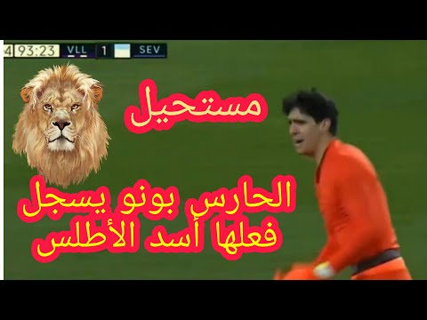 فيديو: ما هو بودو التشيلي؟