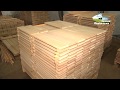 Первинна переробка деревини (ДП "Крижопільське лісове господарство")